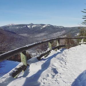 Meet your Posher, Janey